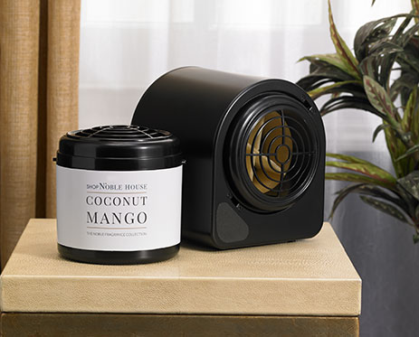 Coconut Mango Fragrance Diffuser Set image