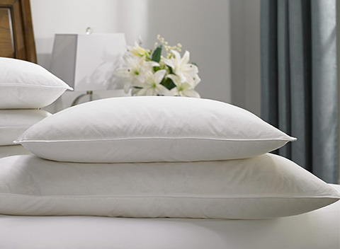 Feather & Down Pillows